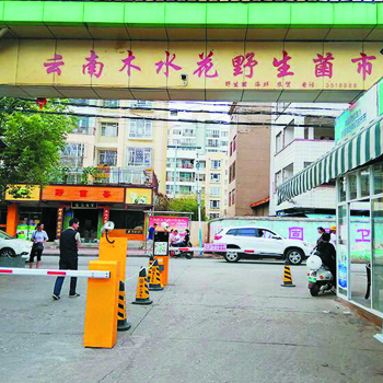 云南野生菌批發市場車牌識別系統工程